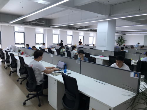 聚焦石家庄电子信息产业 神玥软件数字化发展迎来黄金期